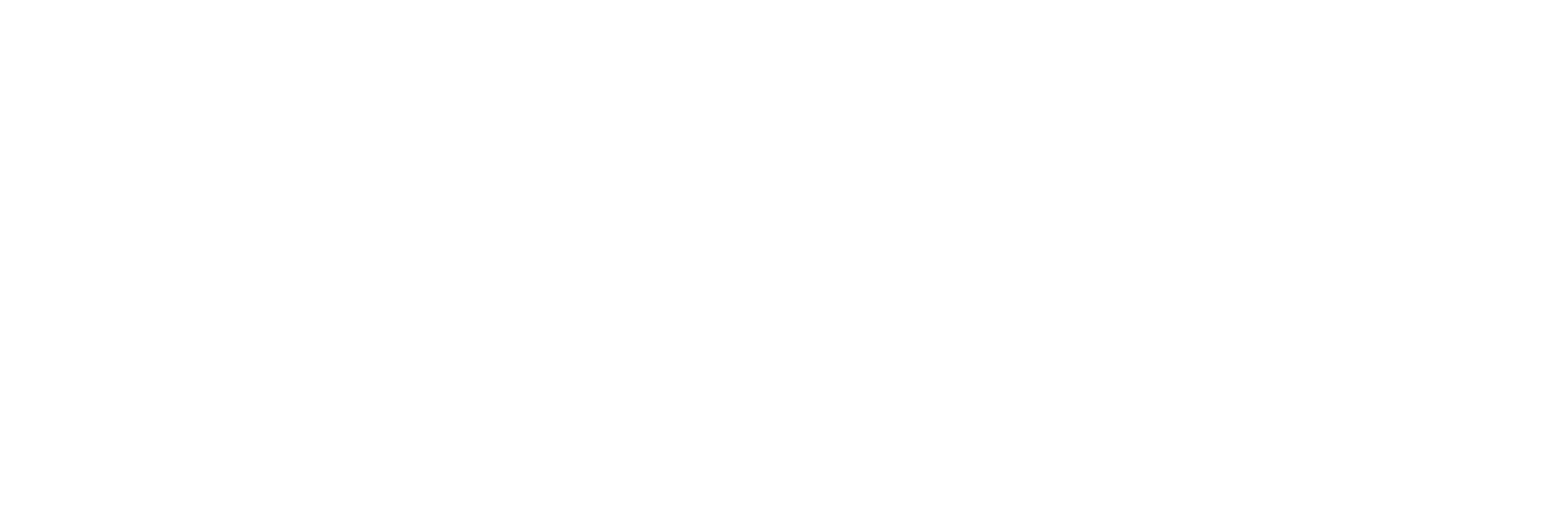 logo fundo puyehue